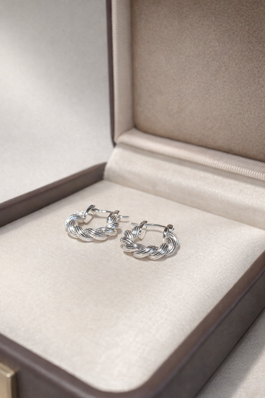 Twisted Rope Horseshoe Hoop Earrings | Silver Finish - Lunelle Atelier