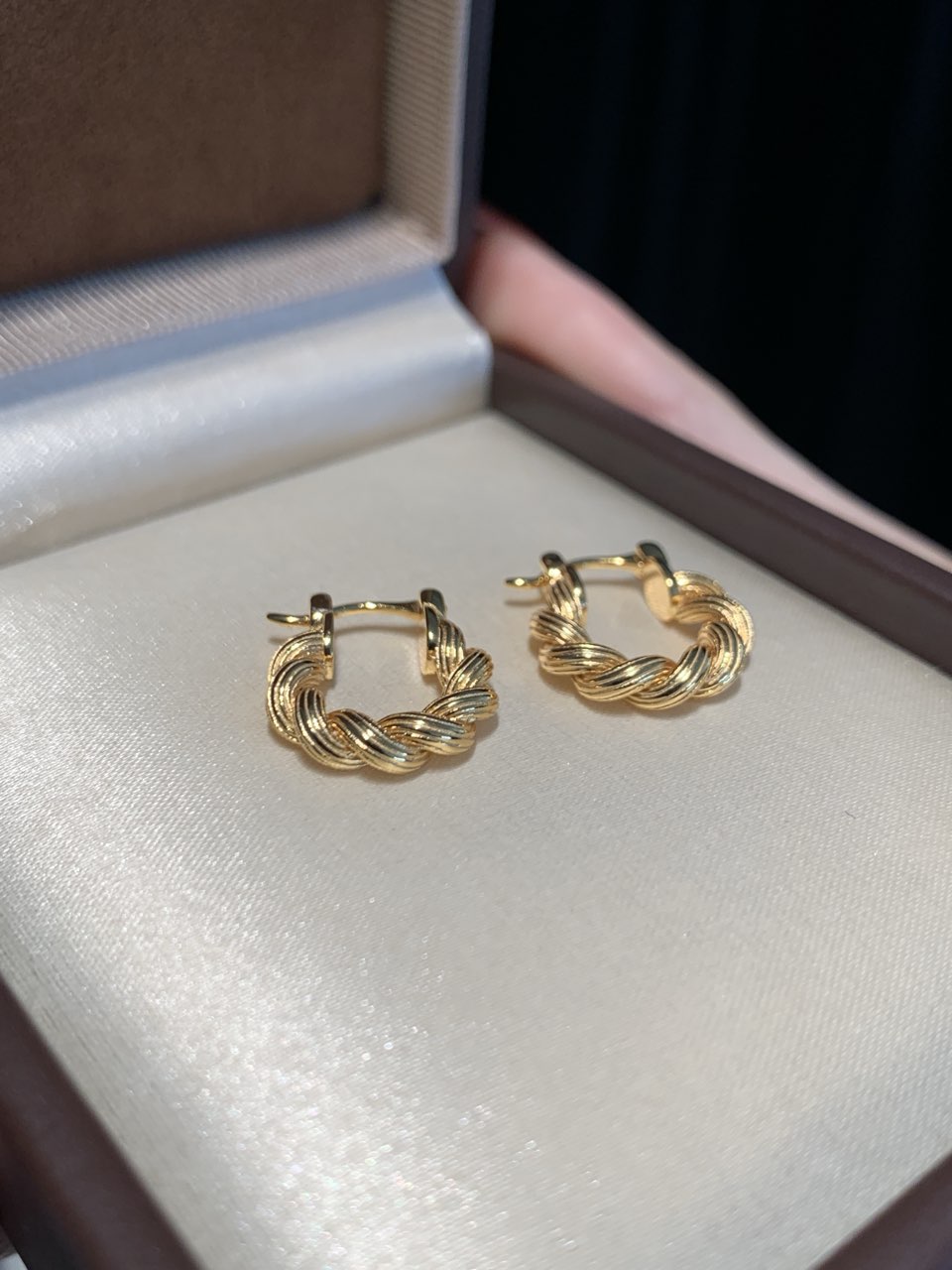 Twisted Rope Horseshoe Gold Hoop Earrings ｜Gold Finish - Lunelle Atelier