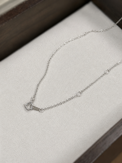 Lucky Horseshoe Moissanite Necklace